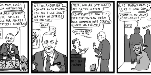Omslagsbild till Natoprocessen